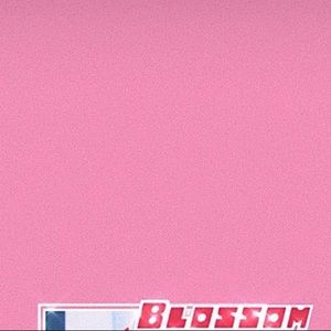 Meet your Posher, Sammy